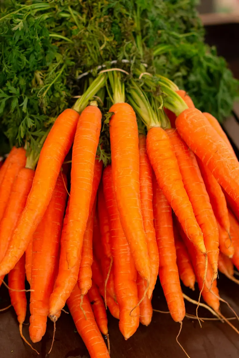 Organic Red Carrots