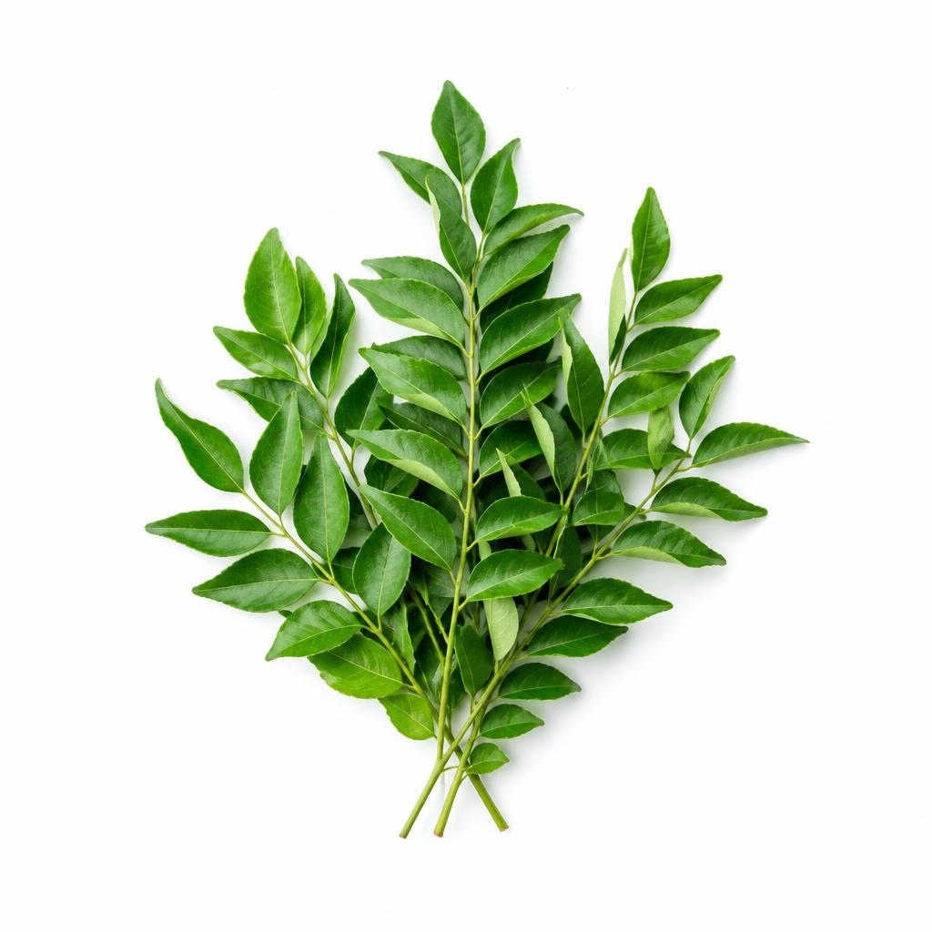 Curry Leaves