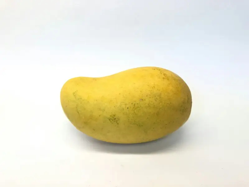Alphonso Mangoes
