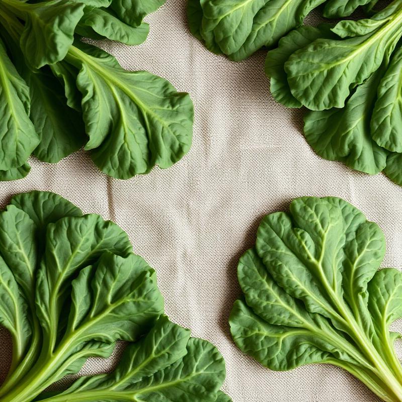 Tuscan Lacinato Kale